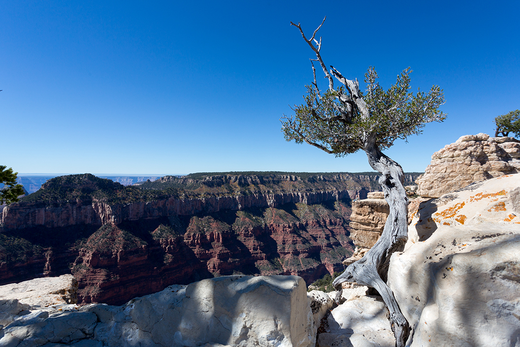 10-14 - 03.jpg - Grand Canyon National Park, North Rim